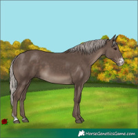 Horse Color:Silver Black Sabino