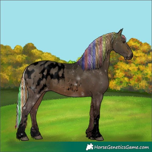Horse Color:Void Painted Silver Bay Tobiano Appaloosa 