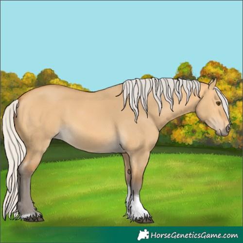 Horse Color:Silver Buckskin Dun Tobiano 
