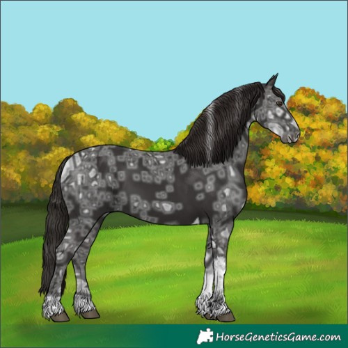 Horse Color:Gold Champagne Ice Sabino Tobiano Appaloosa 