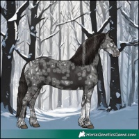 Horse Color:Liver Chestnut Ice Tobiano