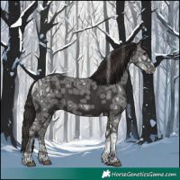 Horse Color:Liver Chestnut Ice Tobiano