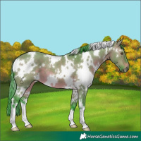 Horse Color:Watercolor White Spotted Brown Dun