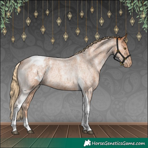 Horse Color:Red Roan Tobiano Appaloosa Rabicano