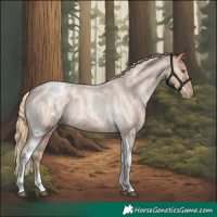Horse Color:Red Roan Tobiano Appaloosa Rabicano