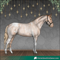Horse Color:Red Roan Tobiano Appaloosa Rabicano