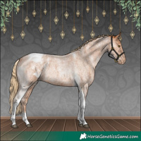 Horse Color:Red Roan Tobiano Appaloosa Rabicano 