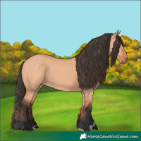 Horse Color:Bay Dun