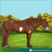 Horse Color:Chestnut Frame