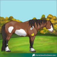 Horse Color:Bay Frame