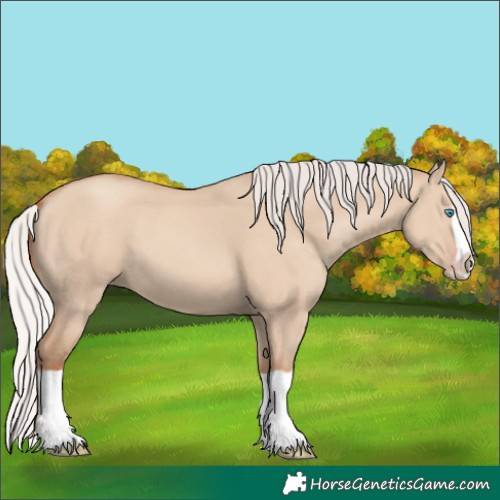 Horse Color:Silver Classic Champagne Dun Splash Frame 