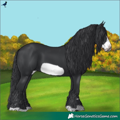 Horse Color:Black Frame 