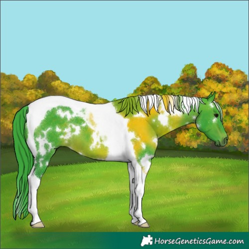 Horse Color:Watercolor White Spotted Brown Tobiano 