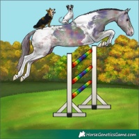 Horse Color:Nacre Buckskin Tobiano Varnish 
