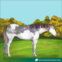 Horse Color:Nacre Brown Splash Varnish