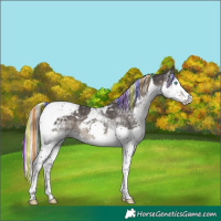 Horse Color:Painted Silver Smoky Black Splash Tobiano