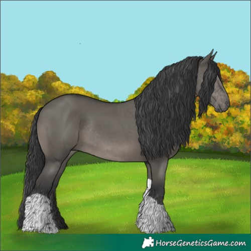 Horse Color:Grullo Tobiano Rabicano 