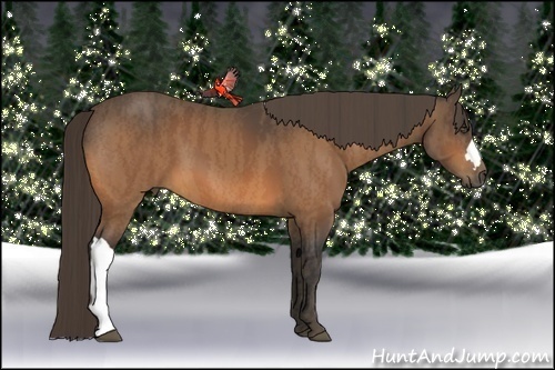 Horse Color:Buckskin  Brindle
