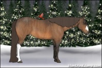 Horse Color:Buckskin  Brindle