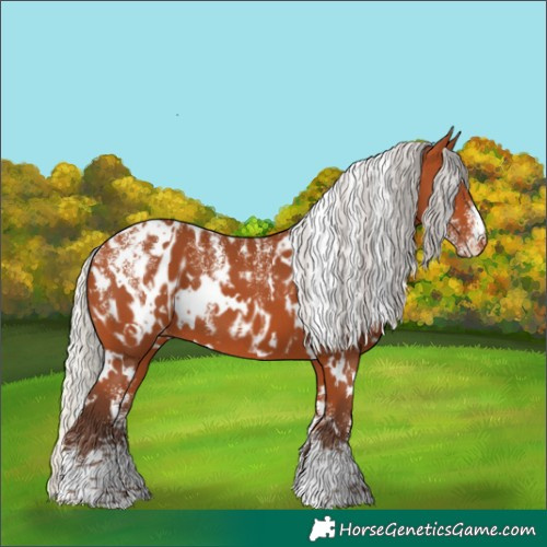 Horse Color:Powder White White Spotted Silver Bay Appaloosa 