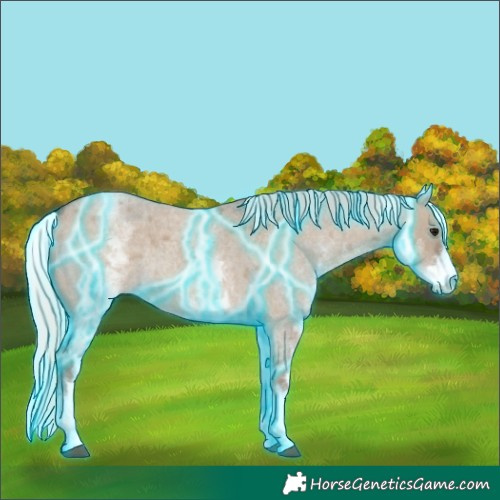 Horse Color:Thunderstruck White Spotted Silver Grullo Roan