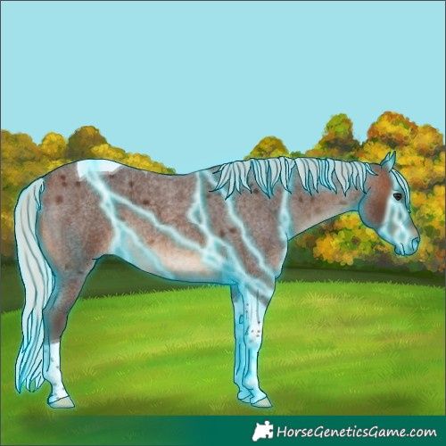 Horse Color:Thunderstruck Silver Brown Roan Tobiano 