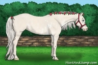 Horse Color:Cremello Sabino  Brindle
