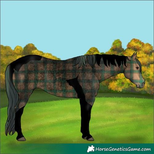 Horse Color:Void Plaid Brown Roan Tobiano