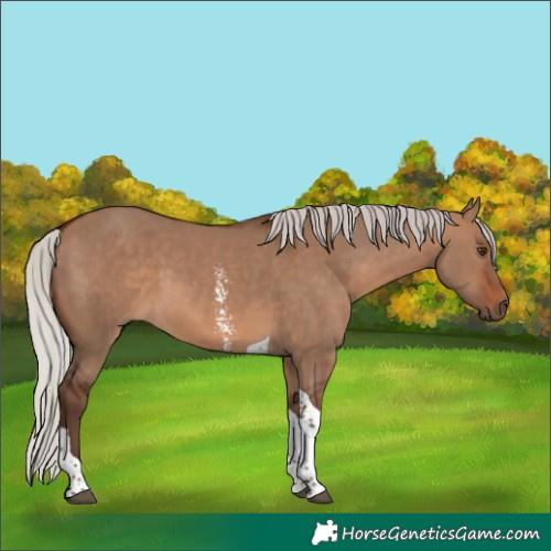 Horse Color:Silver Brown Dun Sabino Tobiano