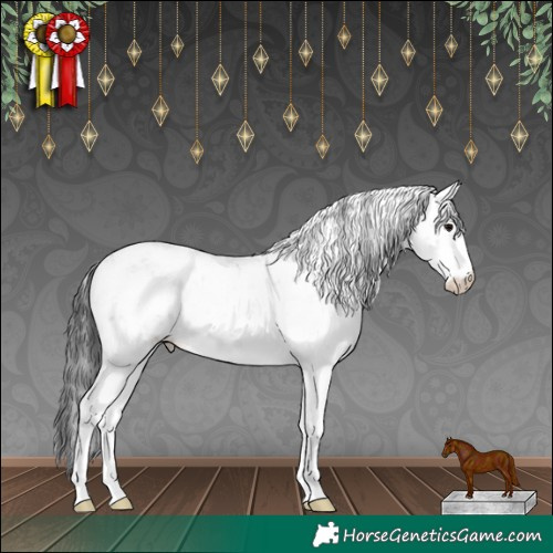 Horse Color:Grullo Sabino 