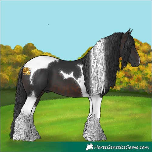 Horse Color:Brown Tobiano