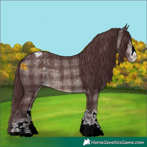 Horse Color:Platinum Plaid  Chocolate Brown Appaloosa 