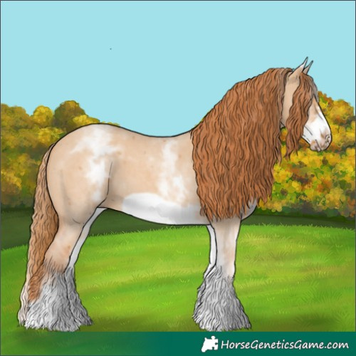 Horse Color:White Spotted Red Dun Sabino Frame