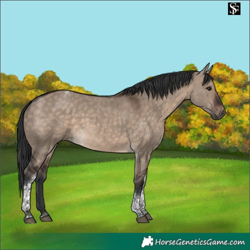 Horse Color:Brown Dun Tobiano 