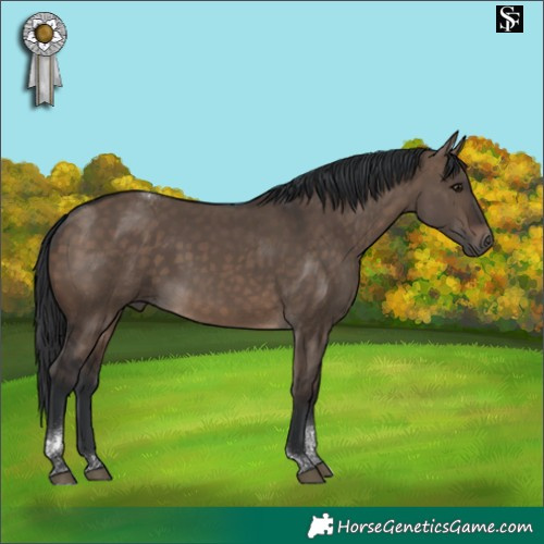 Horse Color:Brown Dun Tobiano 