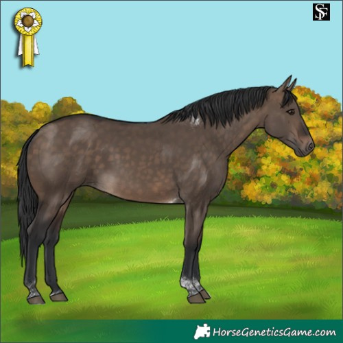 Horse Color:Brown Dun Tobiano 