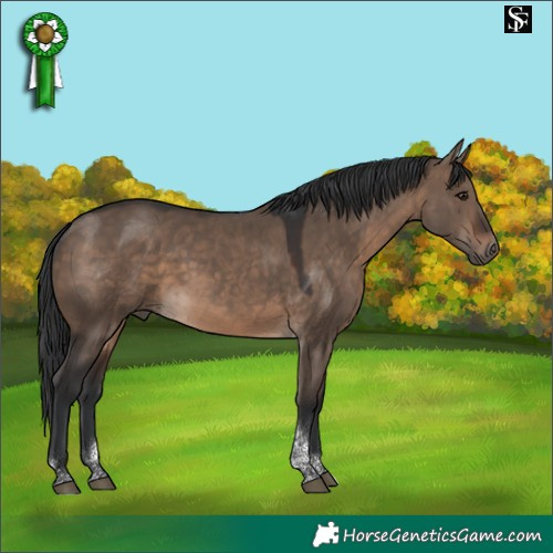 Horse Color:Brown Dun Tobiano 