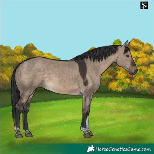 Horse Color:Brown Dun Tobiano 