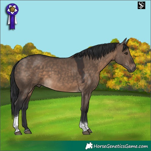 Horse Color:Brown Dun Tobiano 