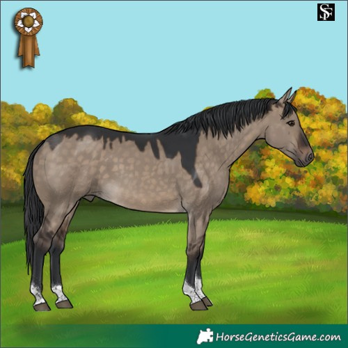 Horse Color:Brown Dun Tobiano 
