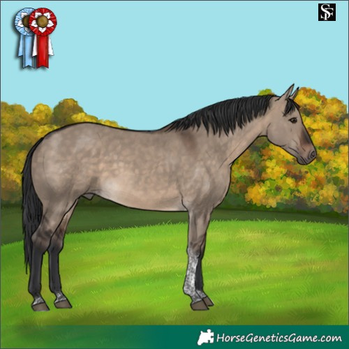 Horse Color:Brown Dun Tobiano 
