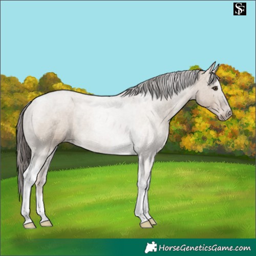 Horse Color:Liver Red Dun Tobiano 
