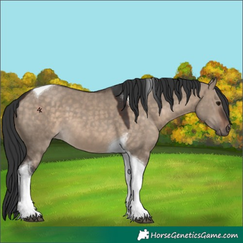 Horse Color:Brown Dun Tobiano 