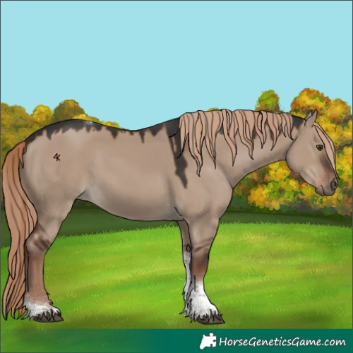 Horse Color:Liver Red Dun Tobiano 