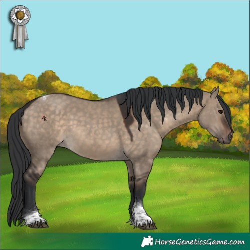 Horse Color:Brown Dun Tobiano 