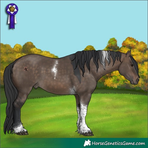 Horse Color:Brown Dun Tobiano 