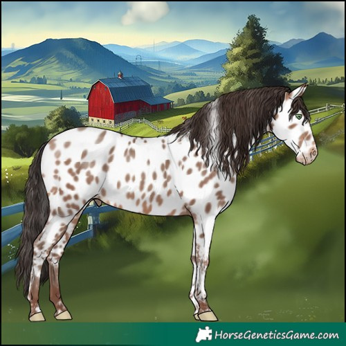 Horse Color:Sable Champagne Tobiano Appaloosa
