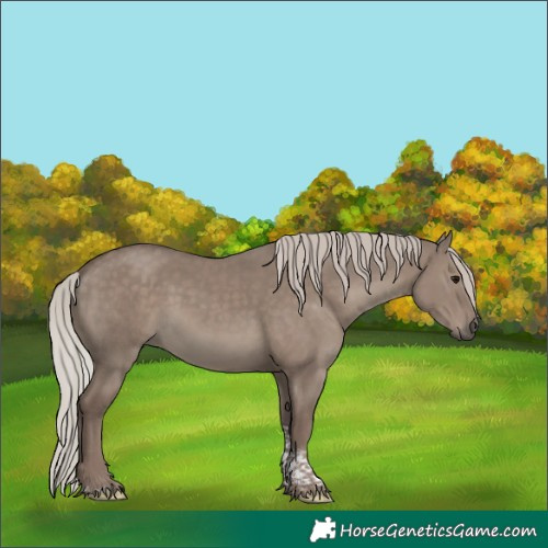 Horse Color:Silver Grullo Tobiano 