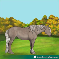 Horse Color:Silver Grullo Tobiano