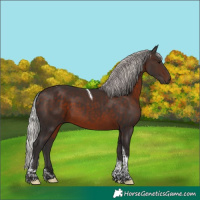 Horse Color:Silver Brown Tobiano 